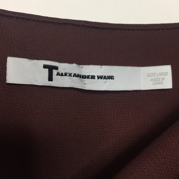 T Alexander Wang Mesh Insert Dress 8/10 L - Picture 6 of 11